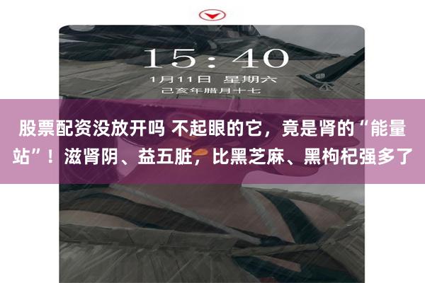 股票配资没放开吗 不起眼的它，竟是肾的“能量站”！滋肾阴、益五脏，比黑芝麻、黑枸杞强多了