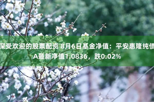 深受欢迎的股票配资 8月6日基金净值：平安惠隆纯债A最新净值1.0836，跌0.02%
