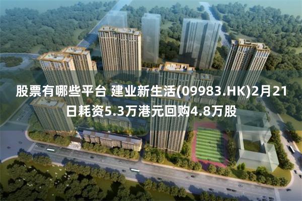 股票有哪些平台 建业新生活(09983.HK)2月21日耗资5.3万港元回购4.8万股
