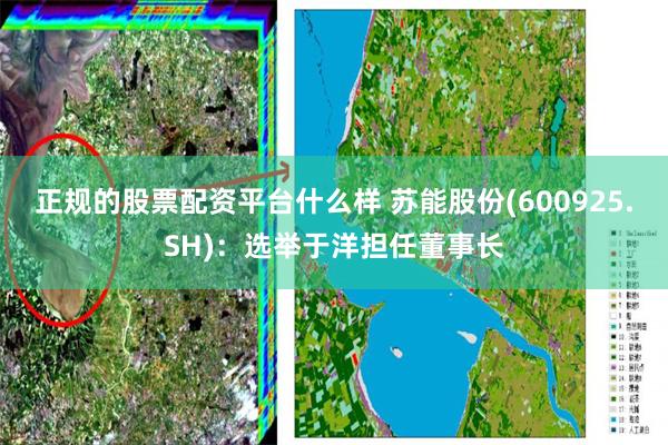正规的股票配资平台什么样 苏能股份(600925.SH)：选举于洋担任董事长