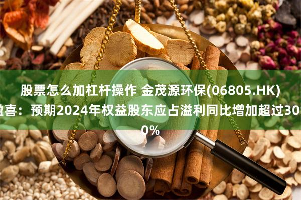 股票怎么加杠杆操作 金茂源环保(06805.HK)盈喜：预期2024年权益股东应占溢利同比增加超过30%