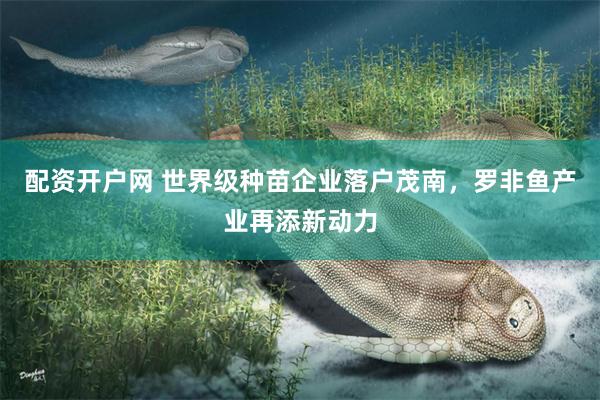 配资开户网 世界级种苗企业落户茂南，罗非鱼产业再添新动力