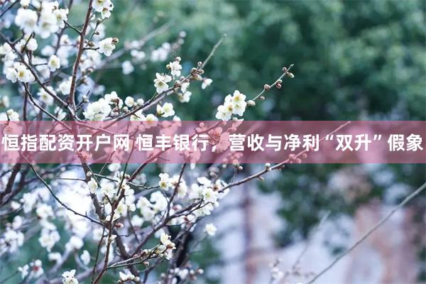 恒指配资开户网 恒丰银行，营收与净利“双升”假象