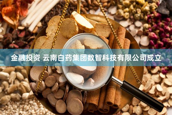 金融投资 云南白药集团数智科技有限公司成立