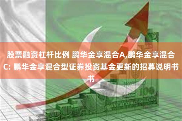 股票融资杠杆比例 鹏华金享混合A,鹏华金享混合C: 鹏华金享混合型证券投资基金更新的招募说明书