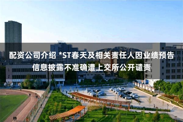 配资公司介绍 *ST春天及相关责任人因业绩预告信息披露不准确遭上交所公开谴责