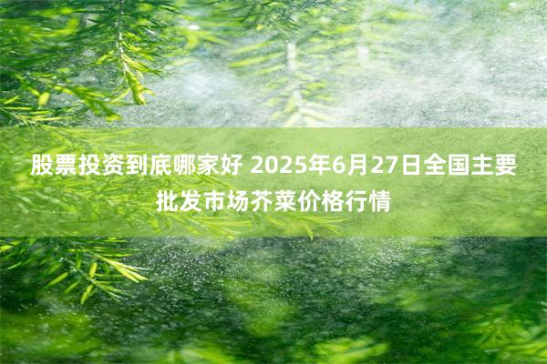 股票投资到底哪家好 2025年6月27日全国主要批发市场芥菜价格行情